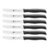 Zwilling Frühstücksmesserset 6-tlg